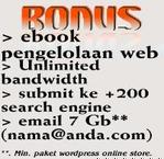 Gratis submit ke 200 search engine & email 7 Gb